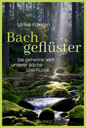 Cover Buch Bachgeflüster